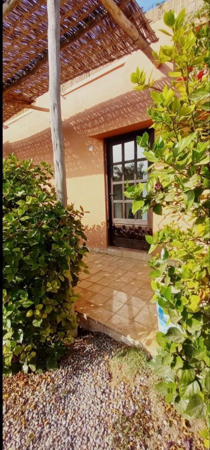 Séjour chez l'habitant Maison Marocaine Agadir