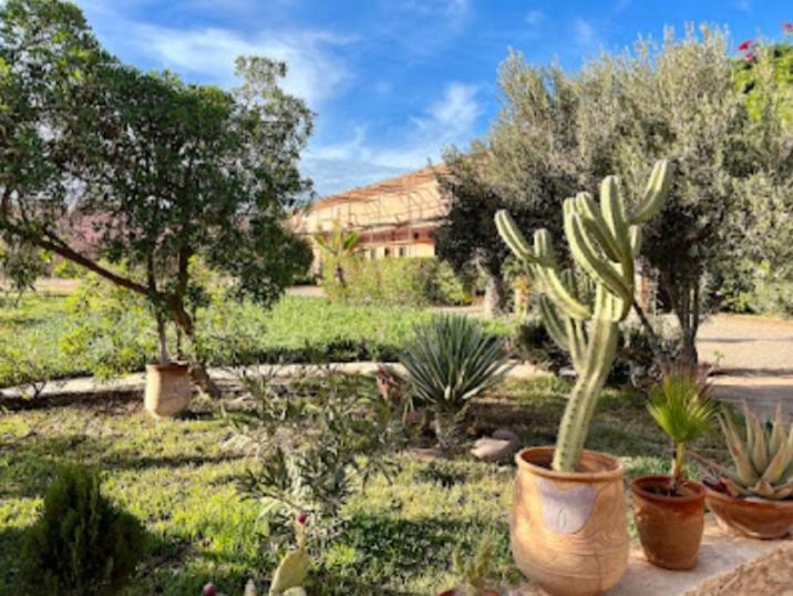 Accommodatie bij particulieren Maison Marocaine Agadir